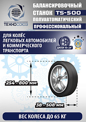 Комплект TS-3022 Шиномонтажный станок+TS-500 Балансировочный стенд  